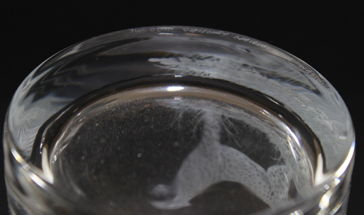 Safari Big Game Low Ball or Old Fashioned Glasses