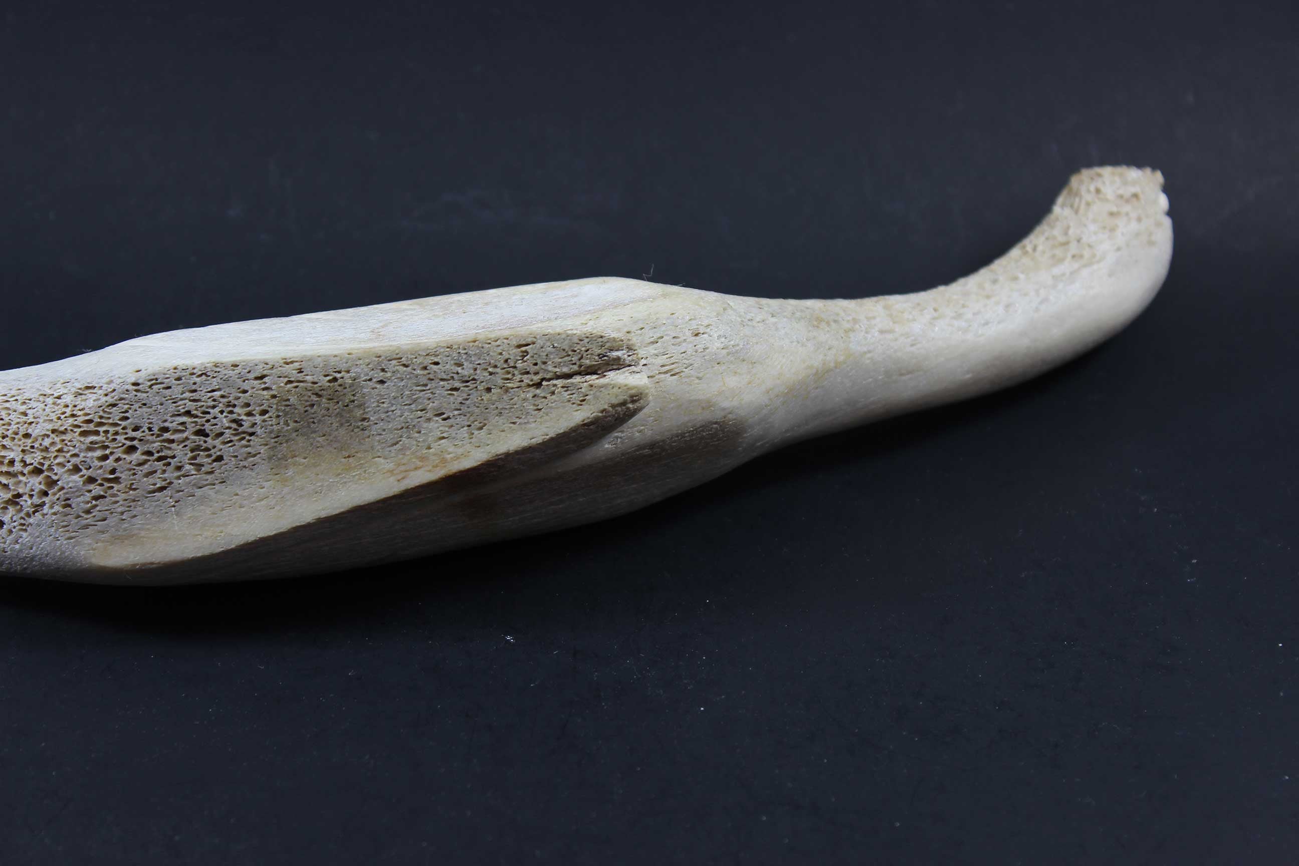 Inuit Carving, Arctic Bird in Bone