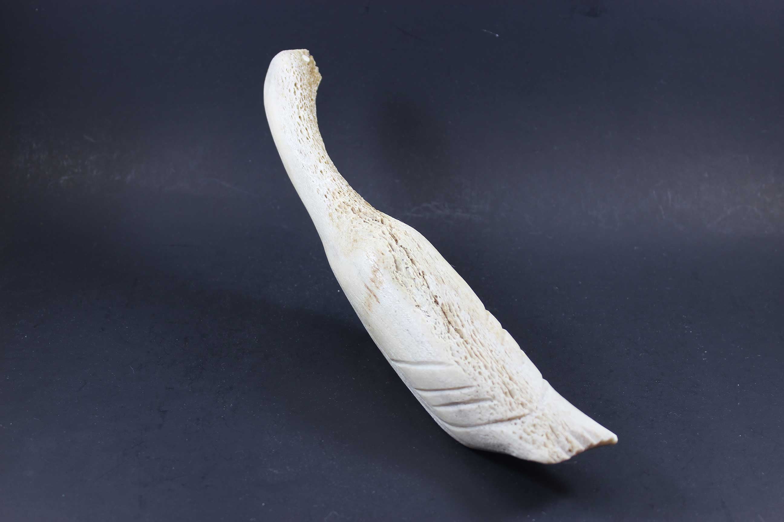 Inuit Carving, Arctic Bird in Bone