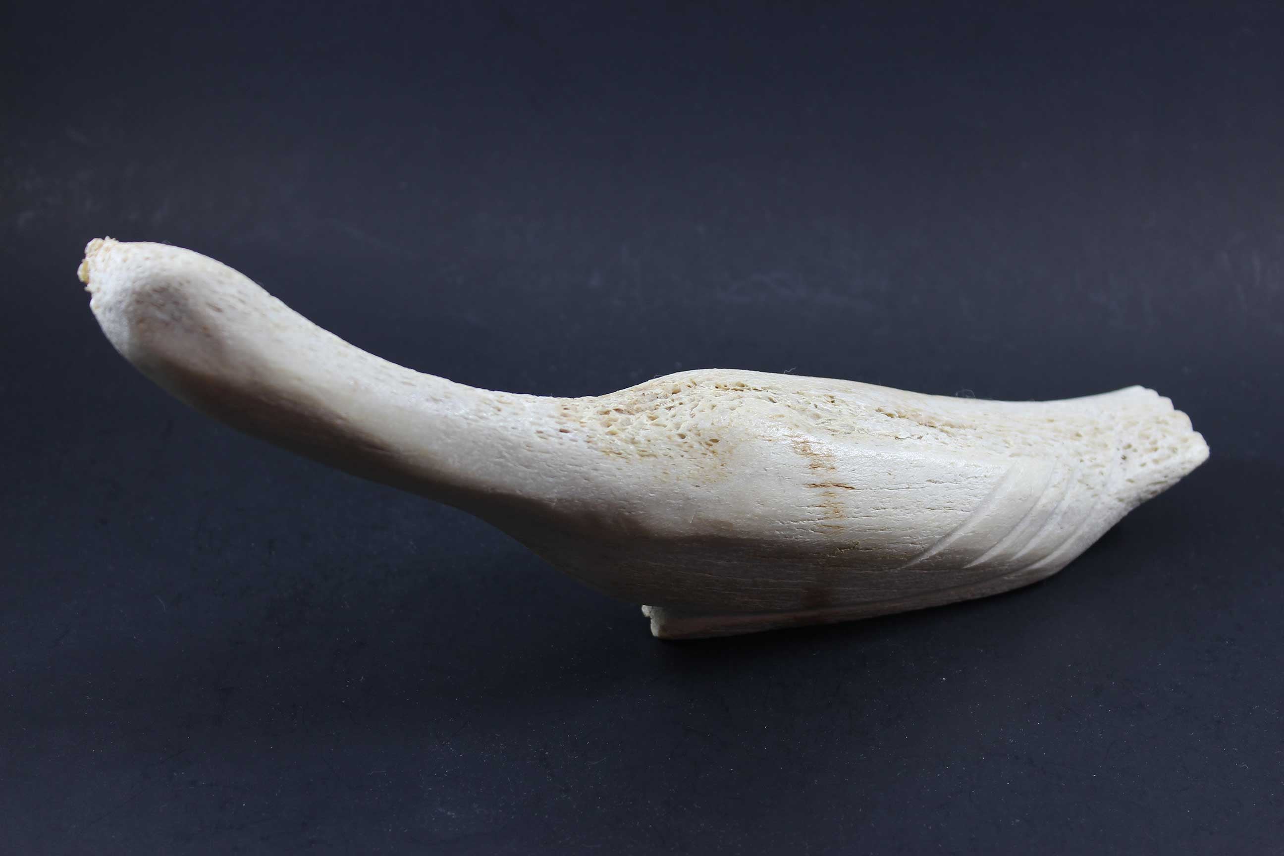 Inuit Carving, Arctic Bird in Bone