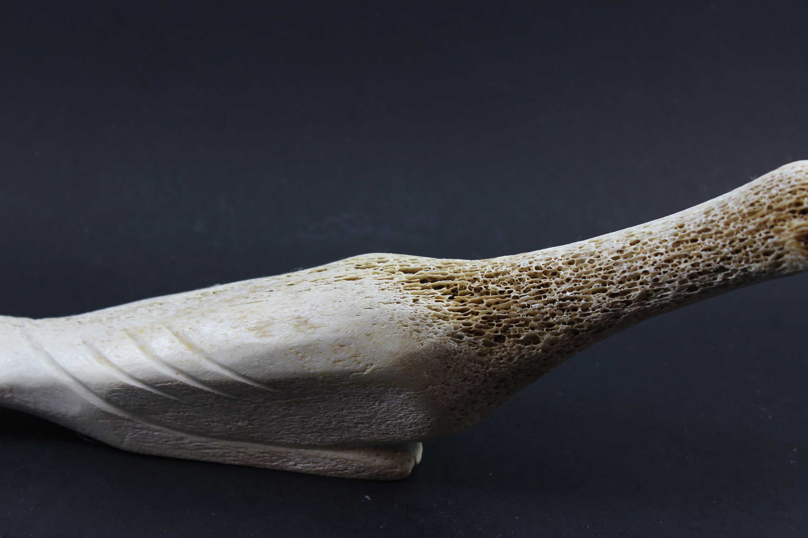 Inuit Carving, Arctic Bird in Bone
