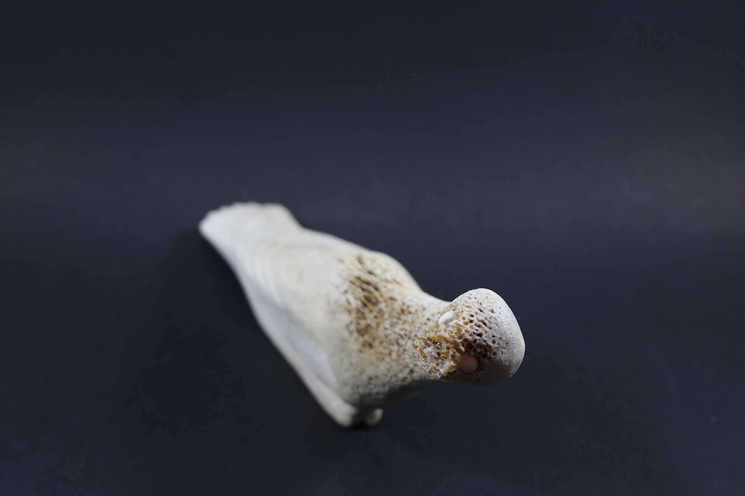 Inuit Carving, Arctic Bird in Bone