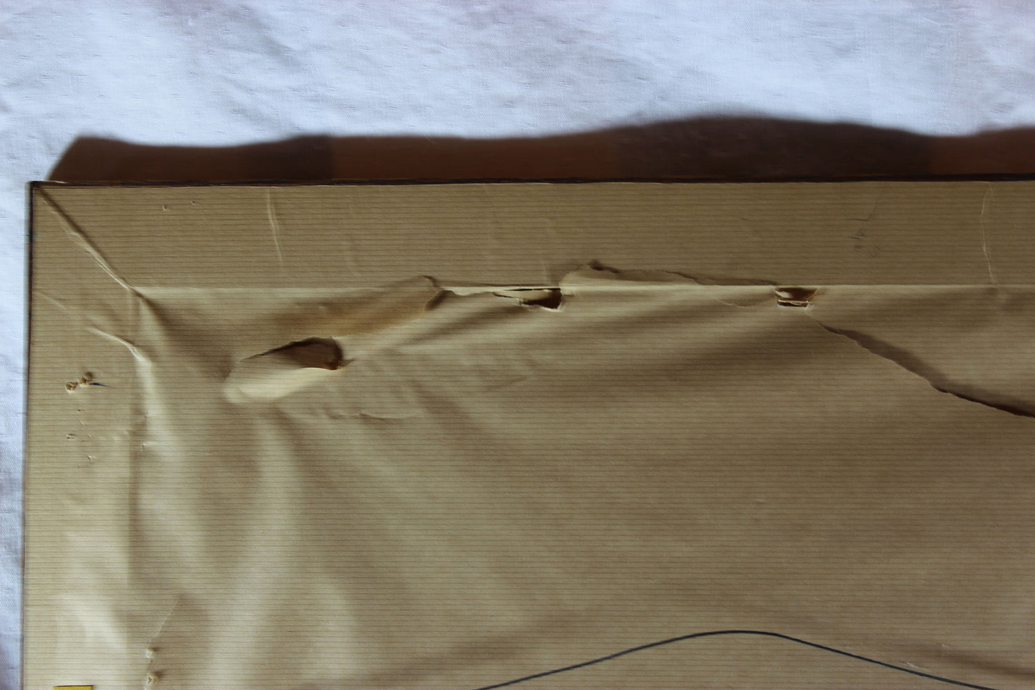 Jillian Field Signed Serigraph