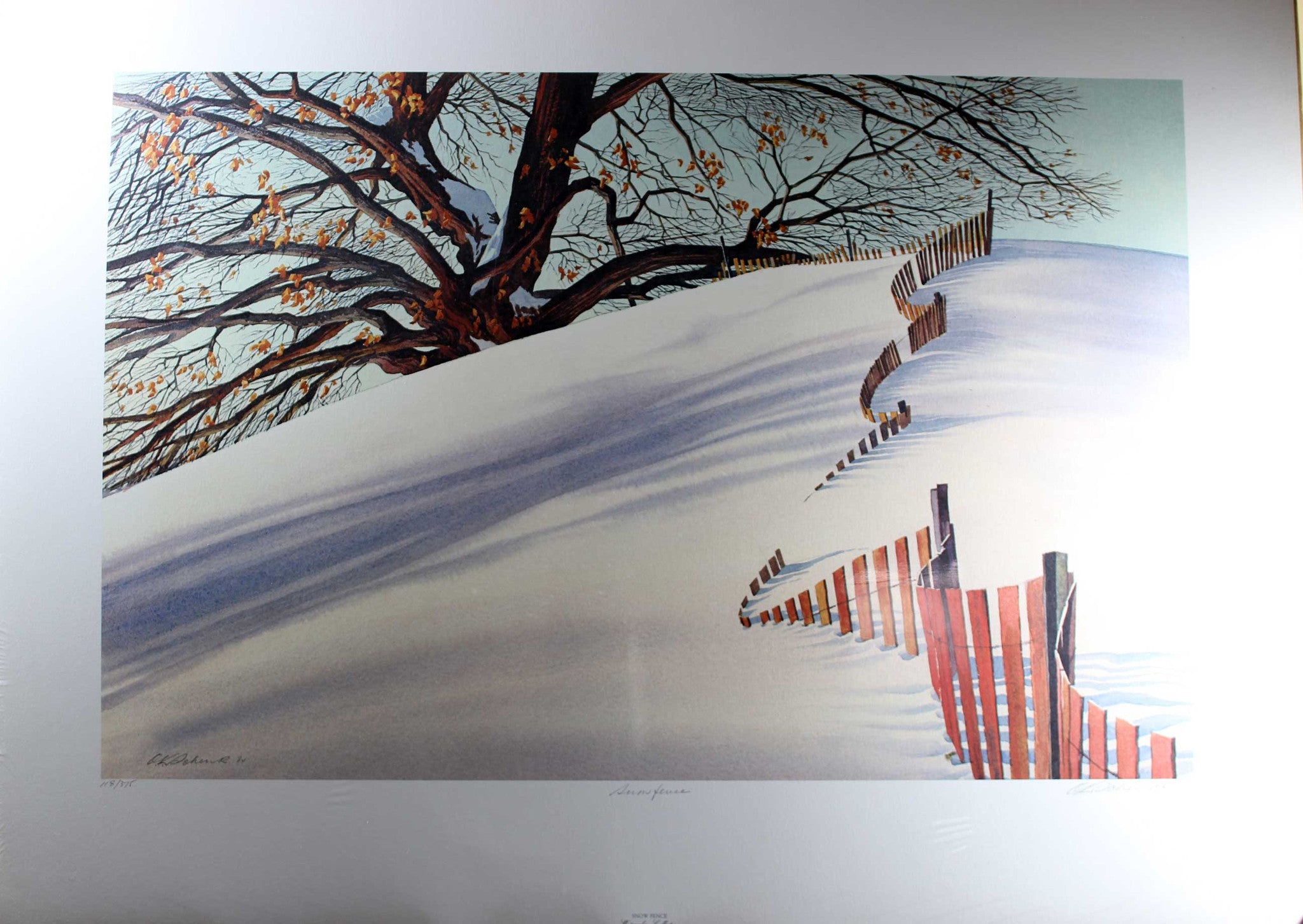 OK Schenk-Snow Fence