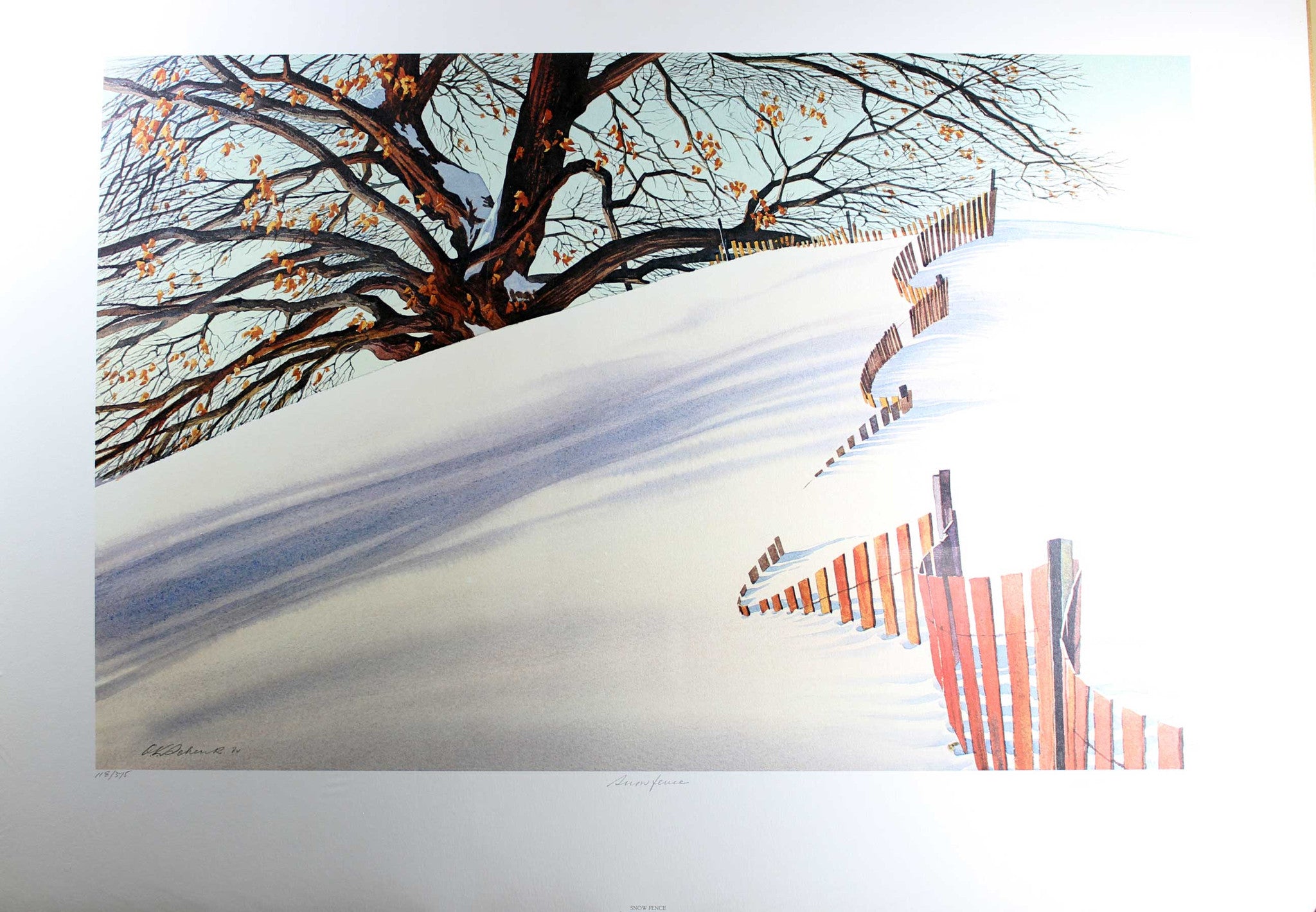 OK Schenk-Snow Fence