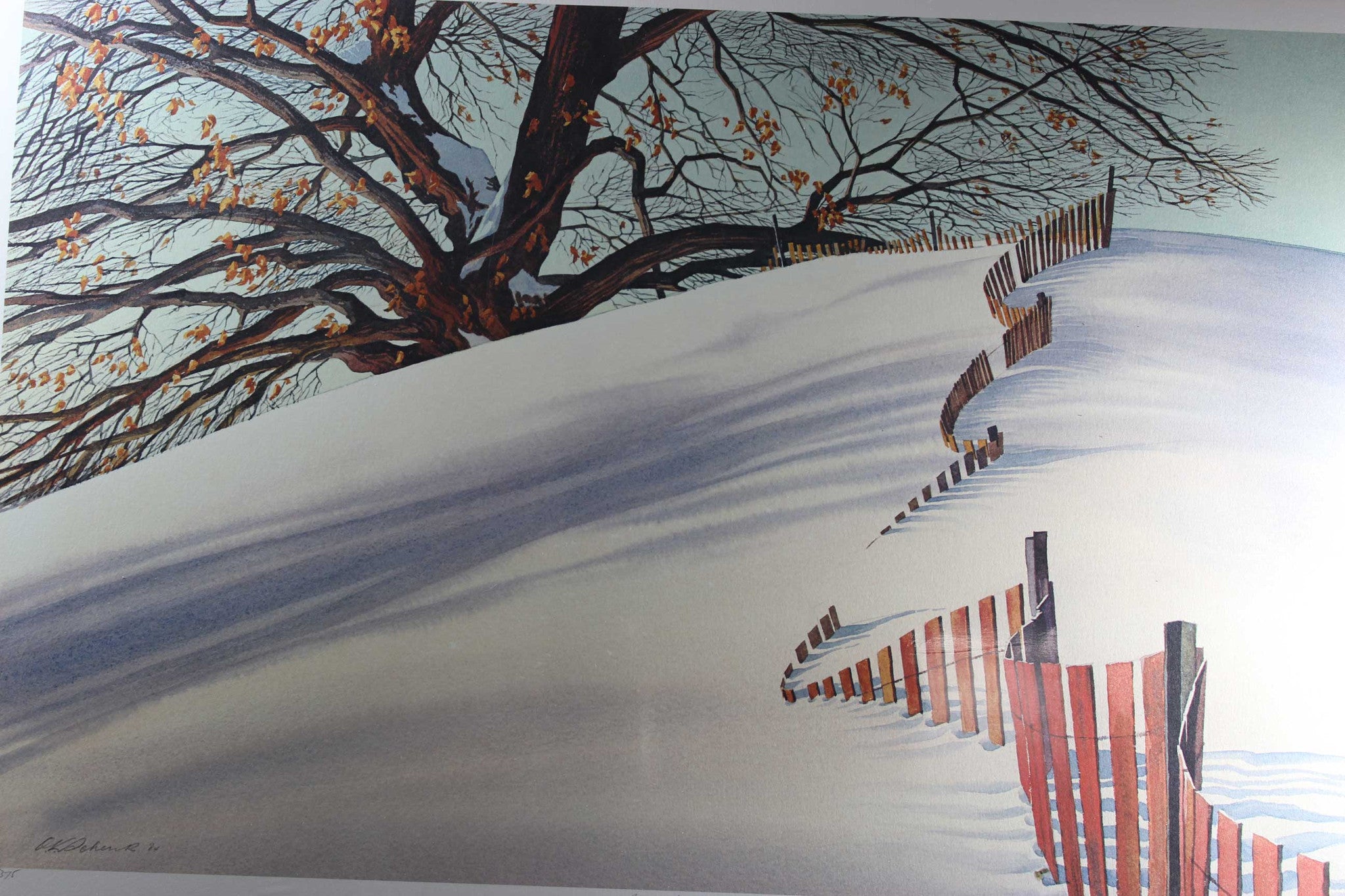 OK Schenk-Snow Fence