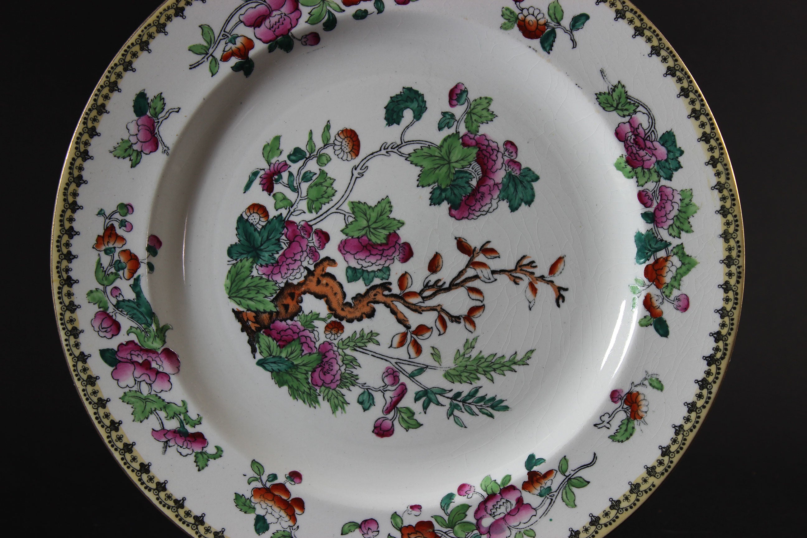 Antique Royal Doulton Indian Tree Plates