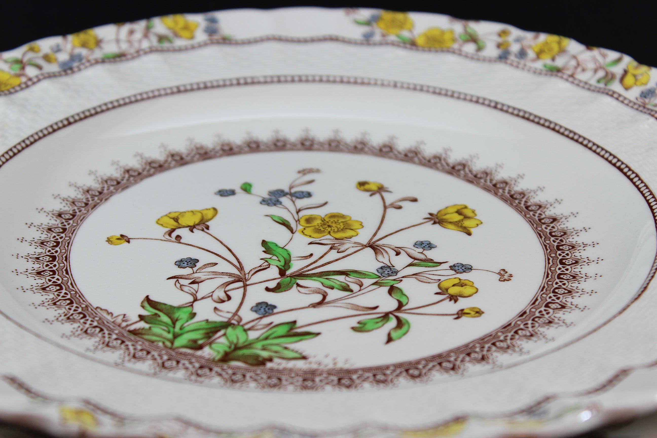 Spode, Buttercup Pattern, Dinner Plates