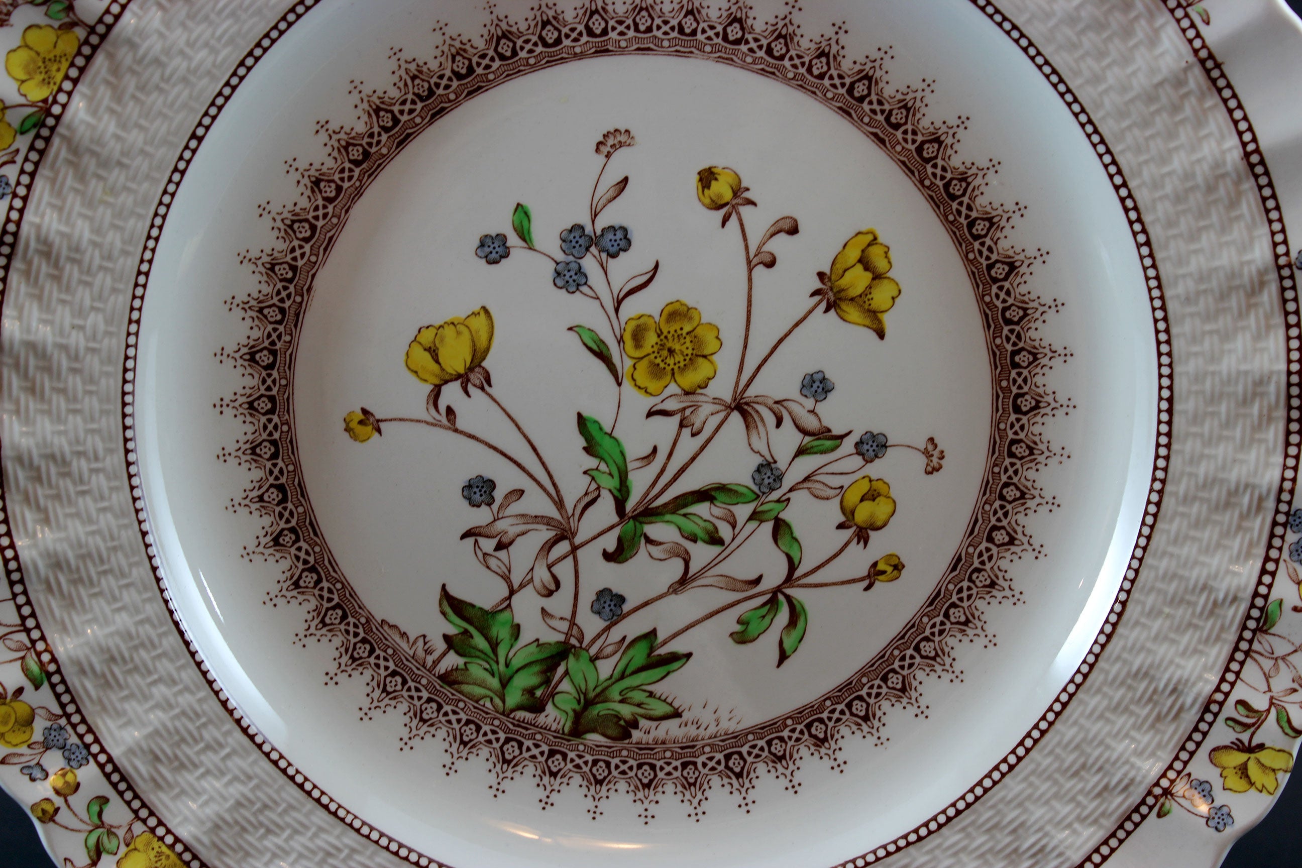 Spode, Buttercup Pattern, Dinner Plates