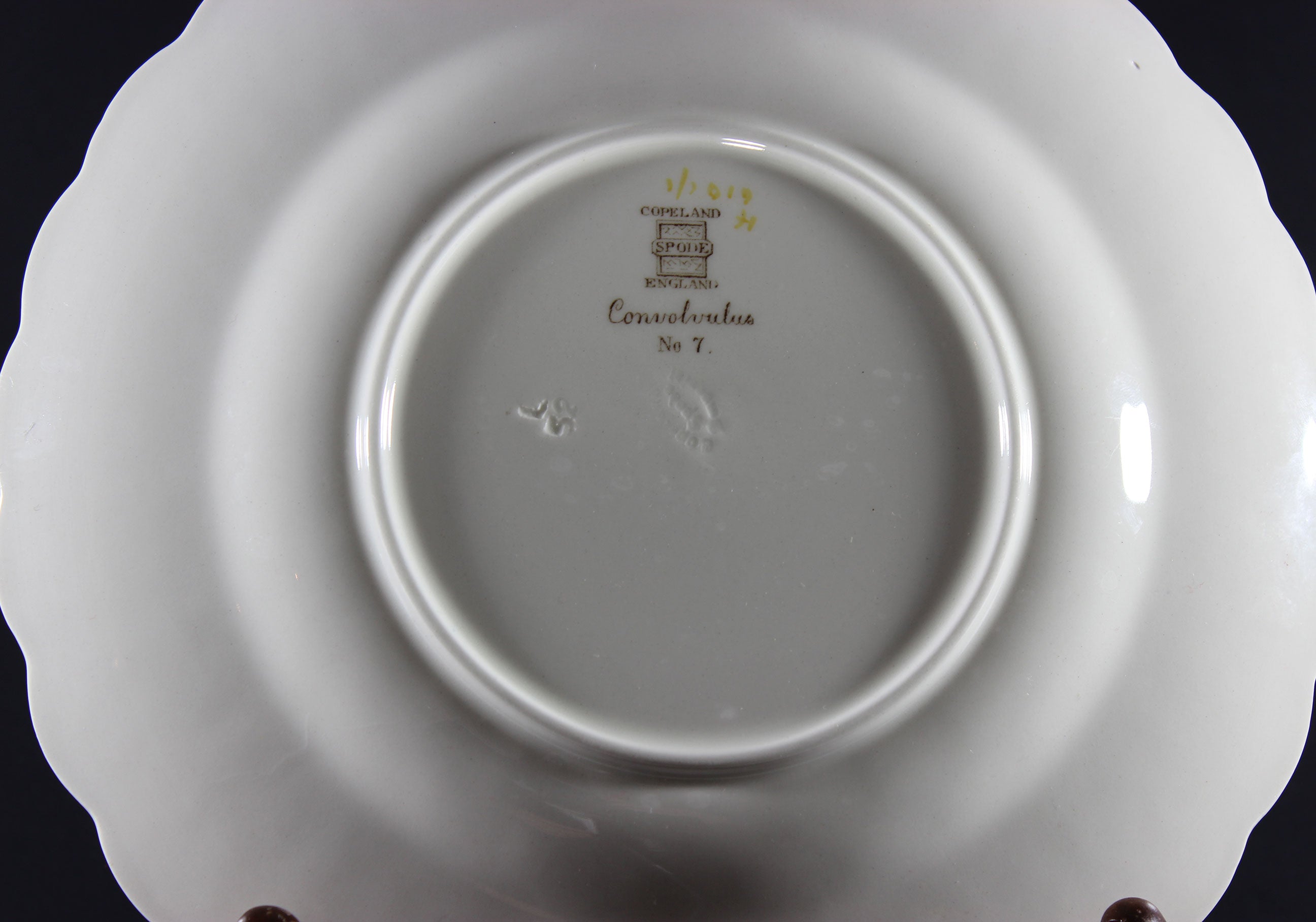 Spode_Fernleigh_Convolvulos_No_10