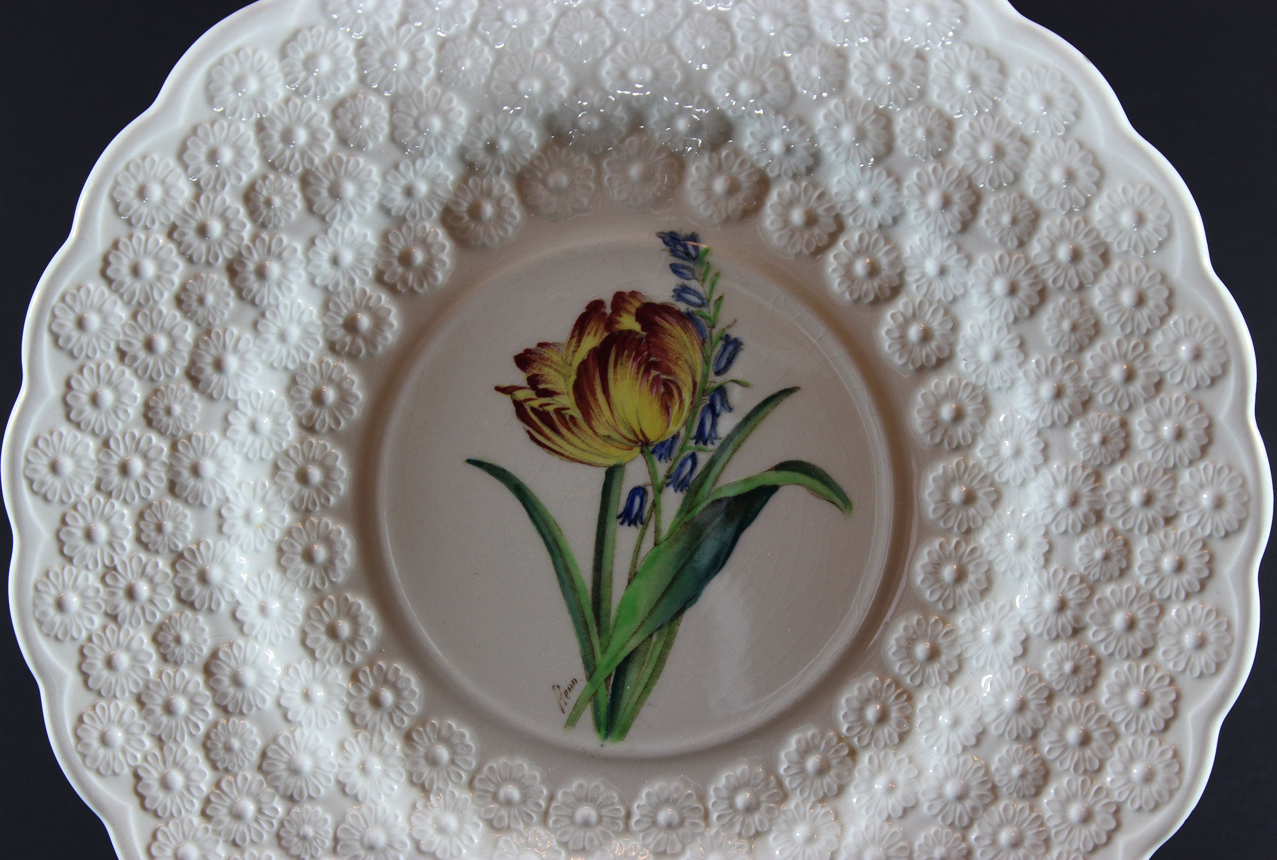 Spode_Fernleigh_Tulip_No_12