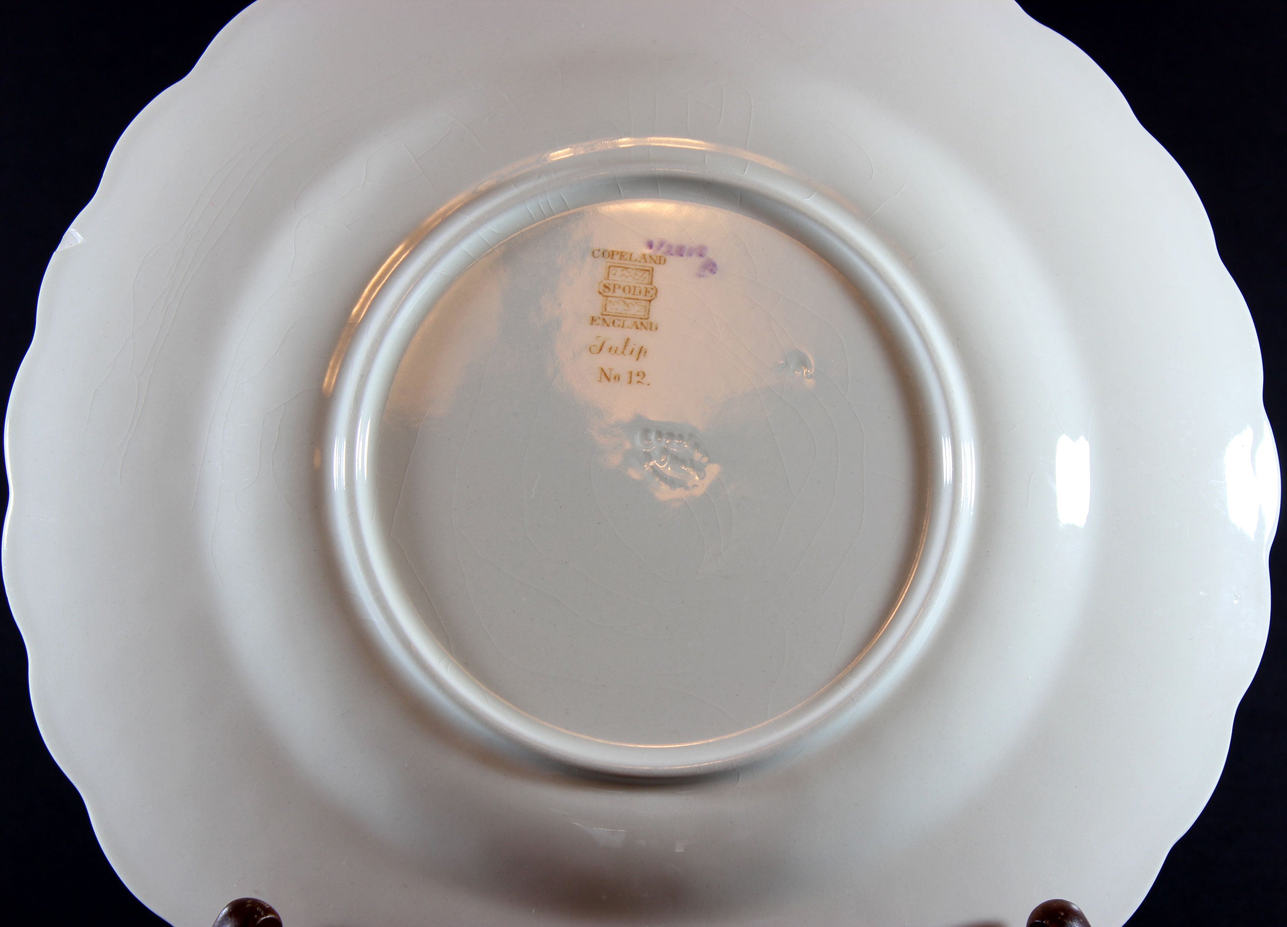 Spode_Fernleigh_Tulip_No_12