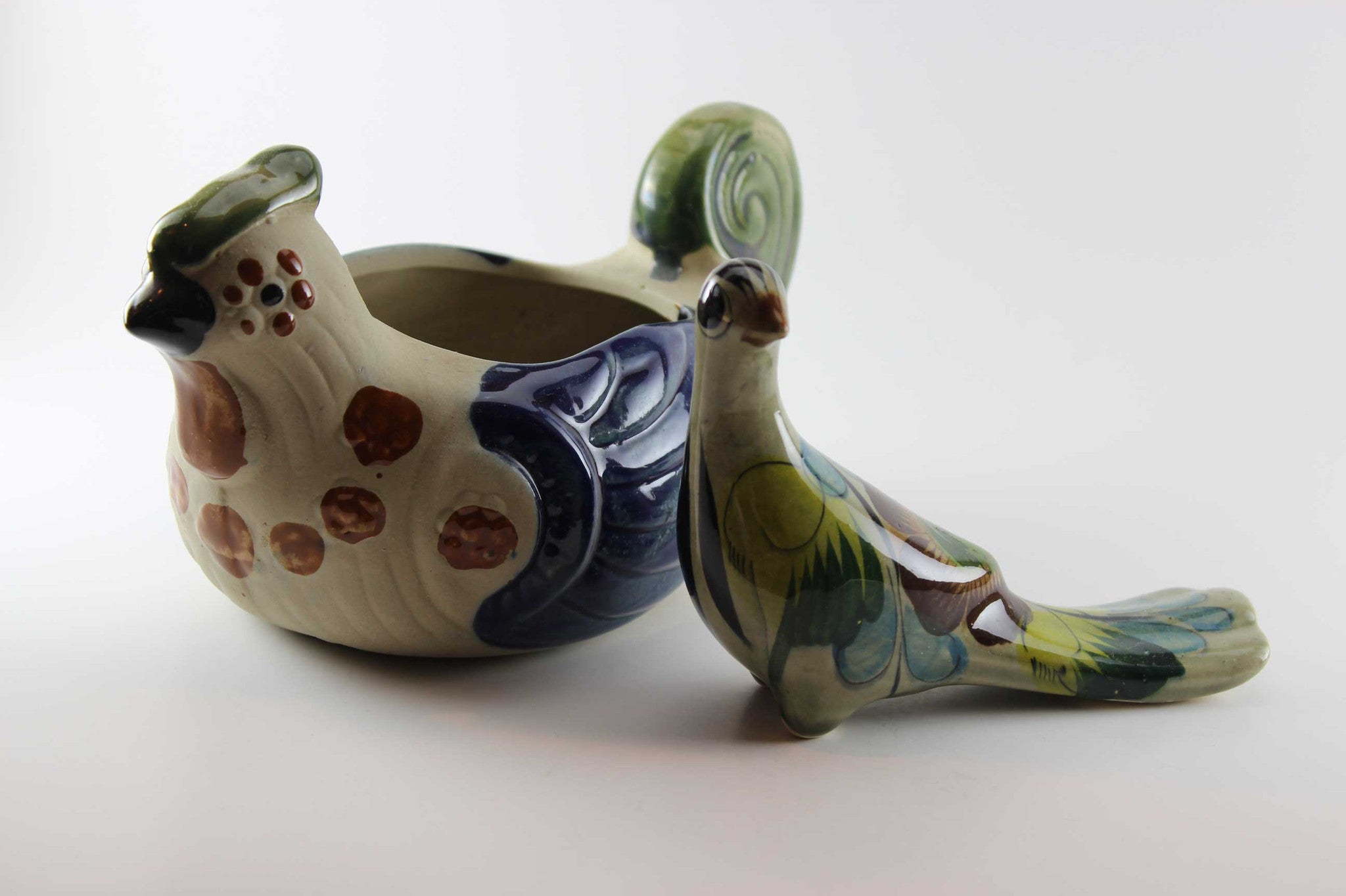 Mexican Tonala Birds