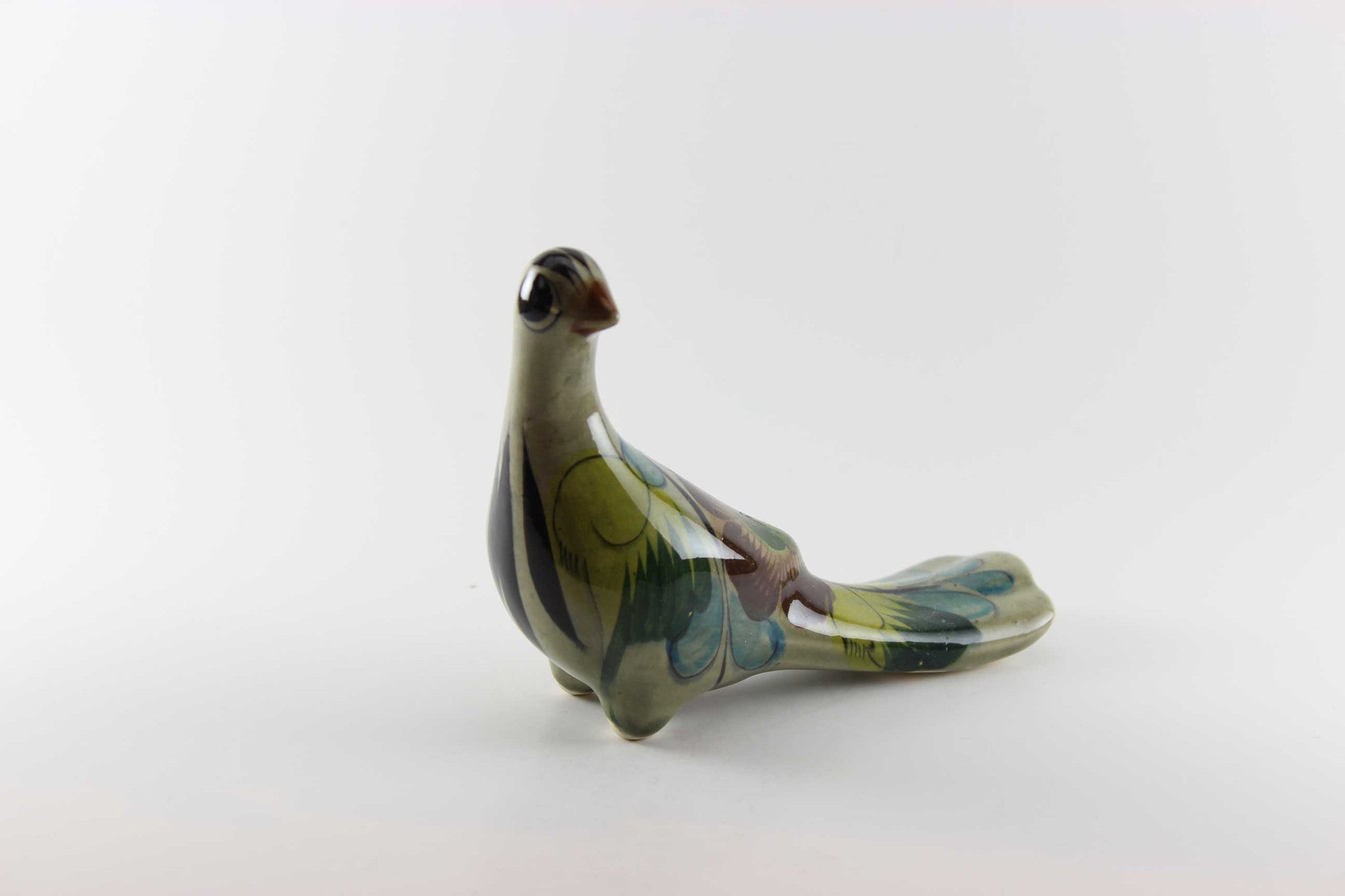 Mexican Tonala Birds