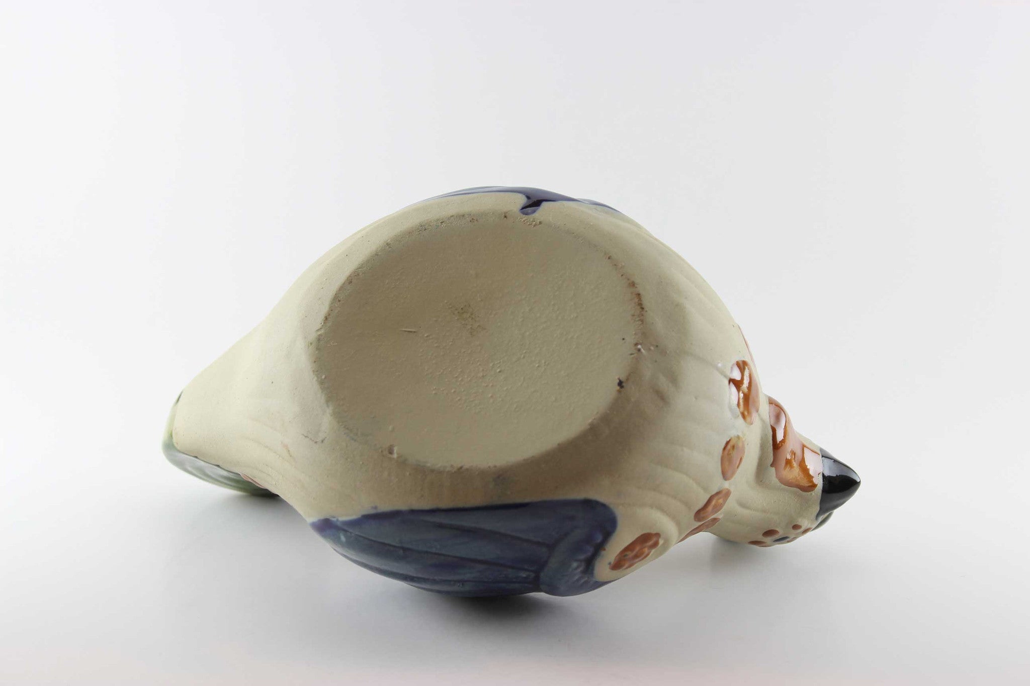 Mexican Tonala Birds