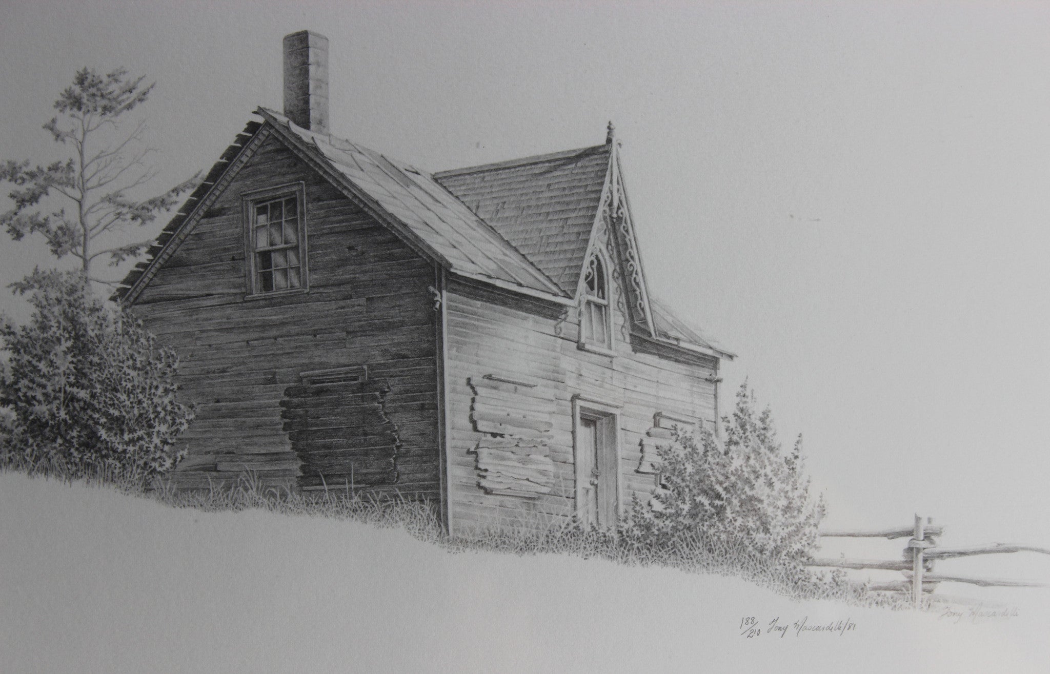 Tony Mascardelli Limited Edition Print