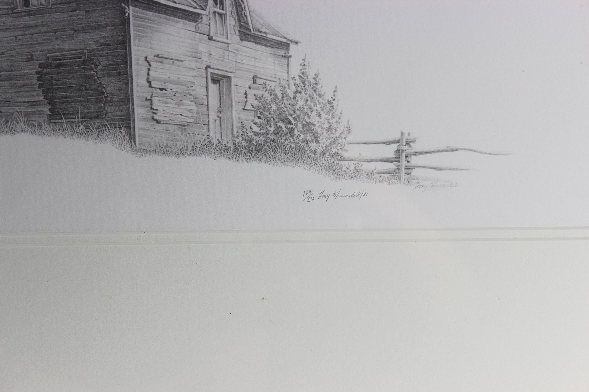 Tony Mascardelli Limited Edition Print