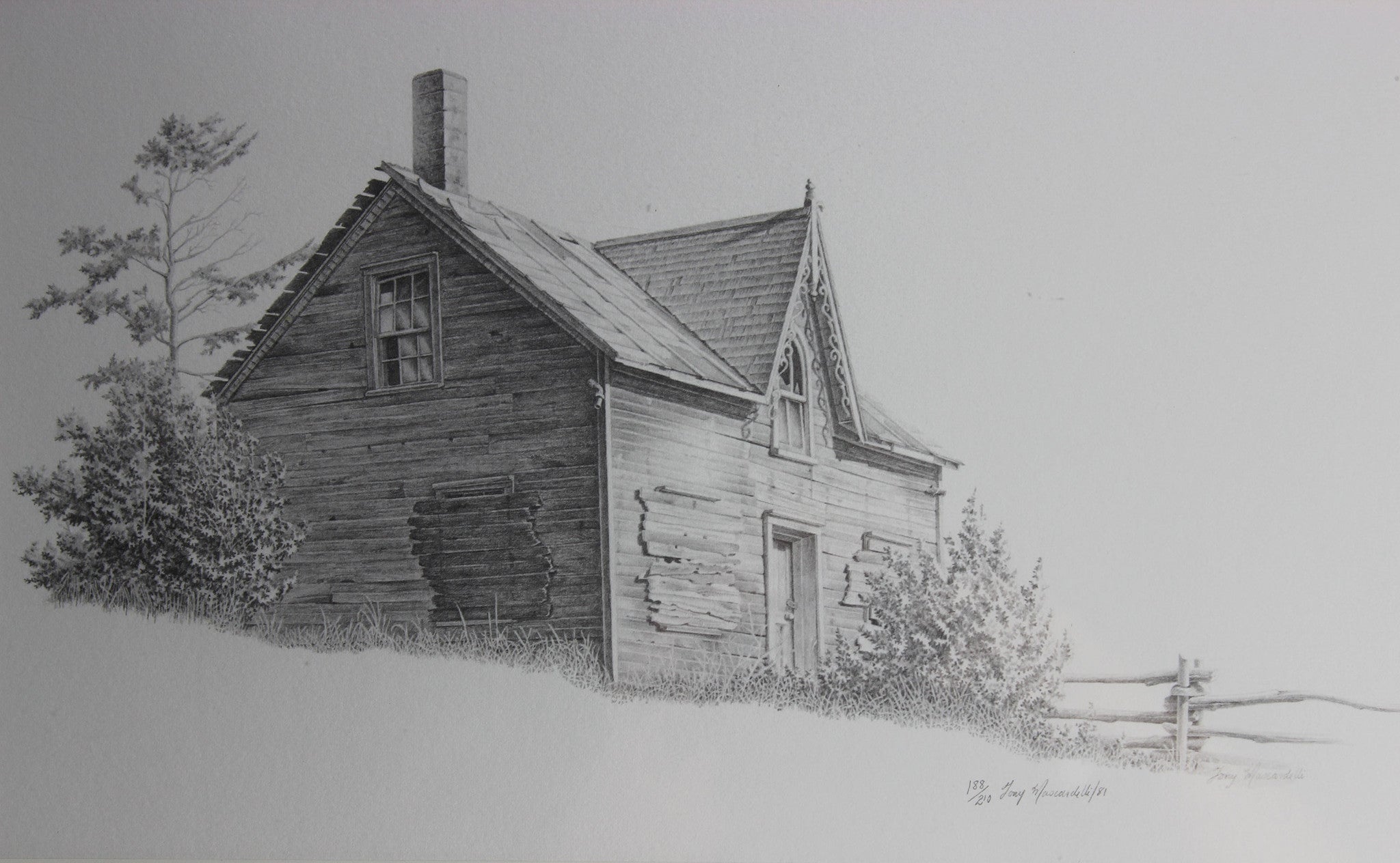 Tony Mascardelli Limited Edition Print