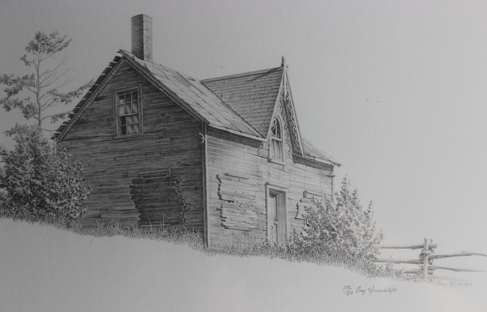 Tony Mascardelli Limited Edition Print