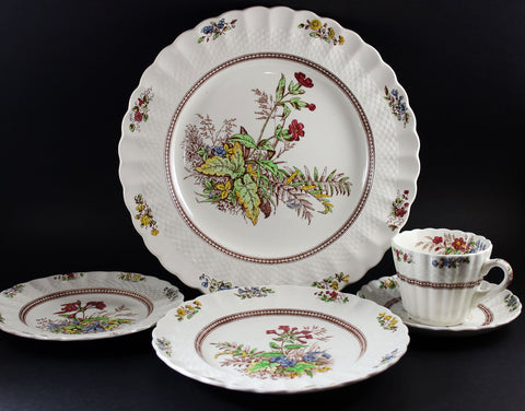 Bone China, Porcelain &  Ironstone