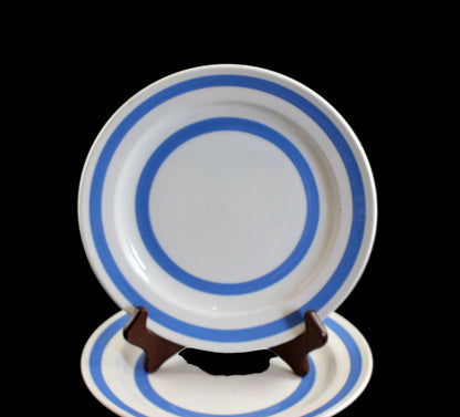 White plate with blue stripes on a black background