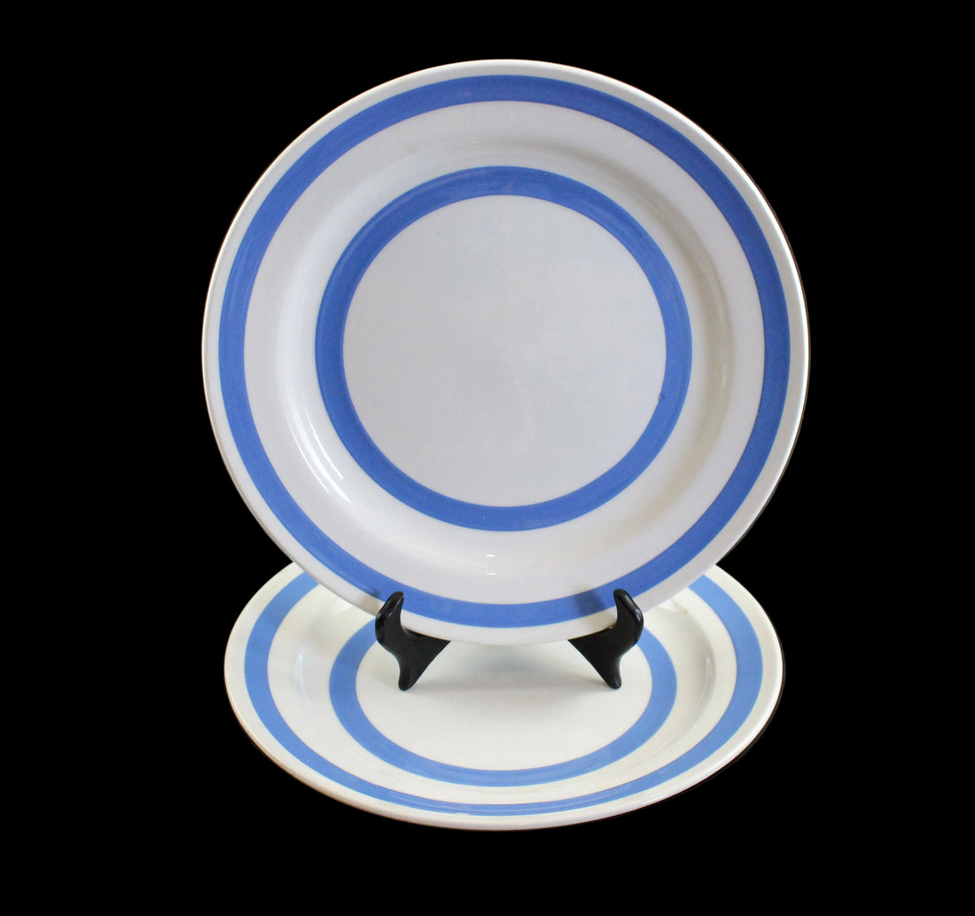 Two ceramic white plates with blue stripes on a black stand against a black background
