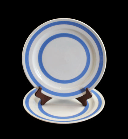 White plate with blue stripes on a black background