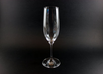 Mikasa Stephanie Pattern clear champagne flute on a black background