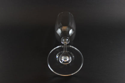 Mikasa Stephanie Pattern clear champagne flute on a black background