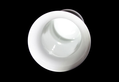 White porcelain Rosenthal vase with platinum and gold embellishments.