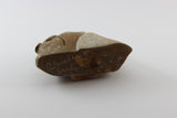 First Nations Soapstone Sculpture-Cleveland Sandy