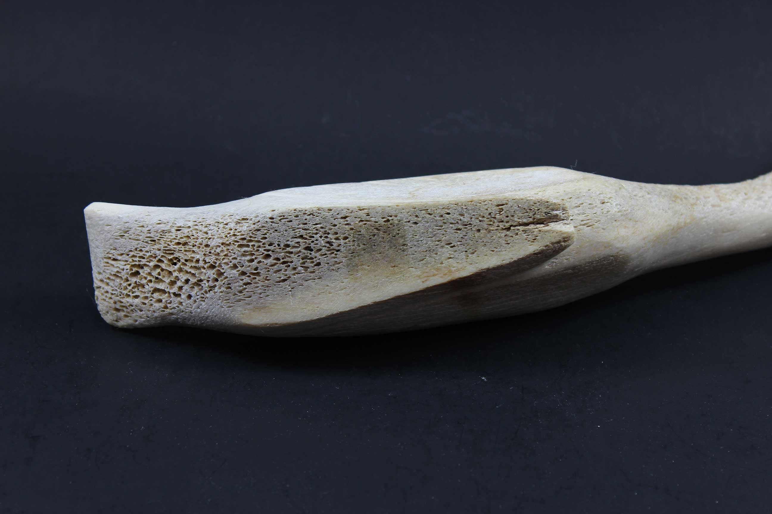 Inuit Carving, Arctic Bird in Bone