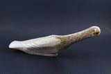 Inuit Carving, Arctic Bird in Bone