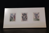 Marsha Forsyth Signed Botanical Print