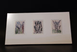 Marsha Forsyth Signed Botanical Print