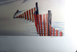 OK Schenk-Snow Fence