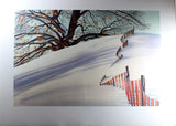 OK Schenk-Snow Fence