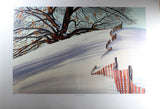 OK Schenk-Snow Fence
