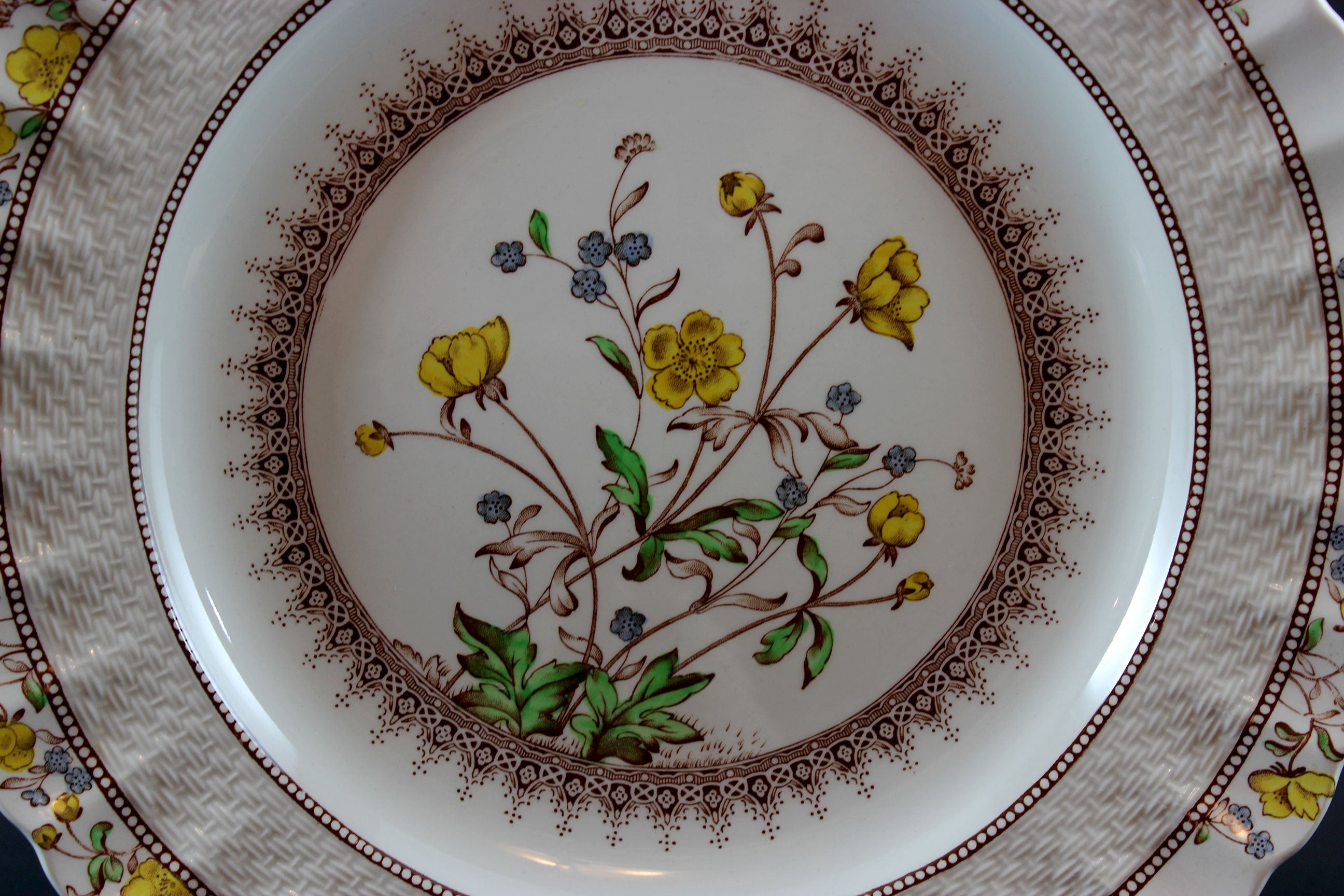 Copeland spode buttercup hotsell